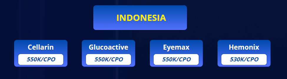 Chiến dịch D2C thị trường Indonesia