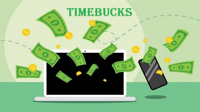 Cách kiếm tiền với timbucks