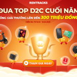 dua-top-d2c-cuoi-nam