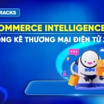 thong-ke-thuong-mai-dien-tu-2025