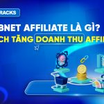 vi-sao-nen-ung-dung-giai-phap-web-to-app-de-toi-uu-tracking-app-cho-advertiser